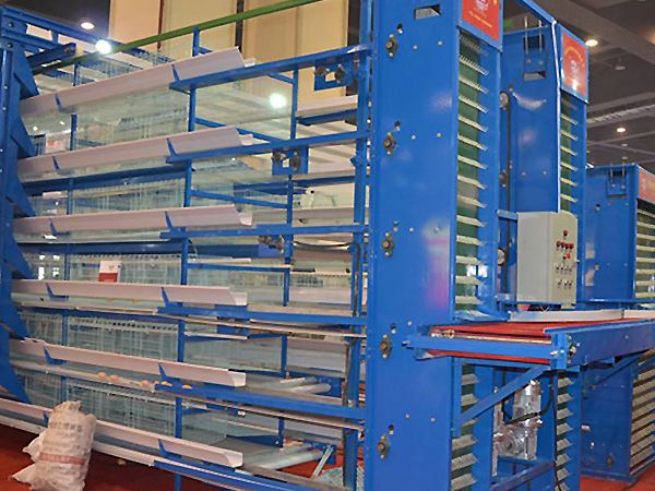 自動集蛋機(jī)械